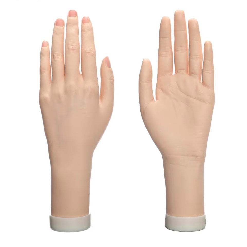 Hand Model