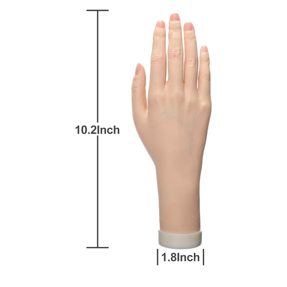 Hand Model