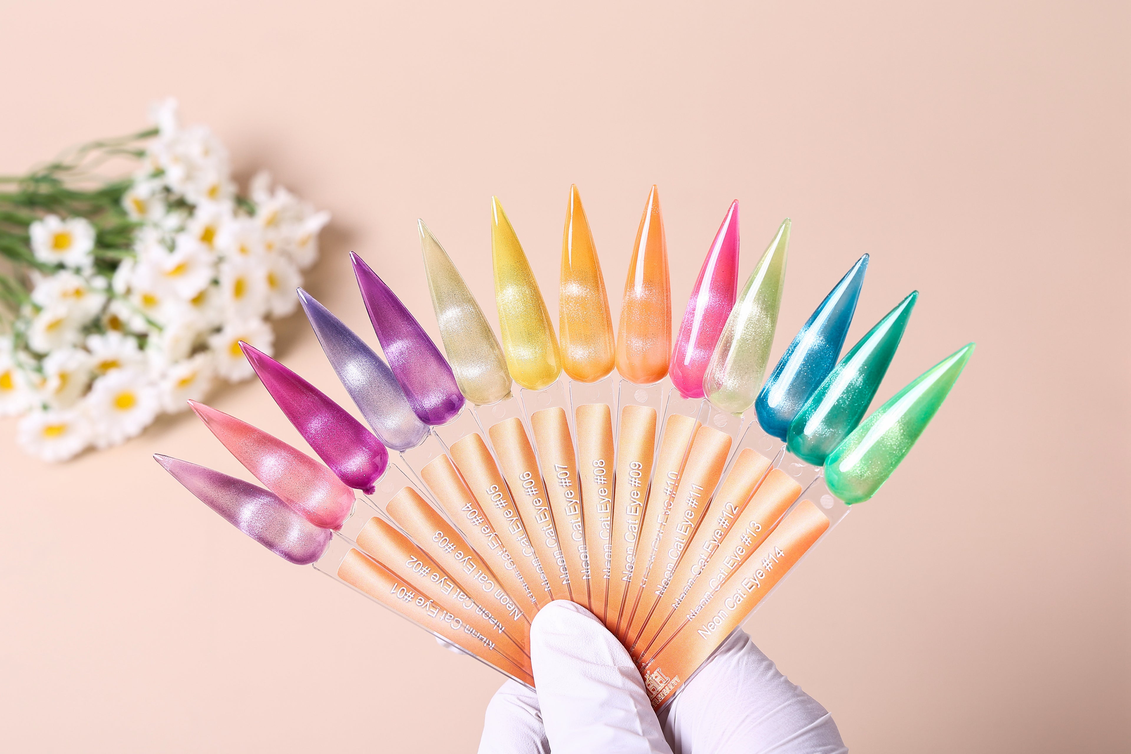 Neon set Cat eye (14 Colors)