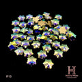 AB Rhinestone SnowFlake Shape (50pcs)- R13